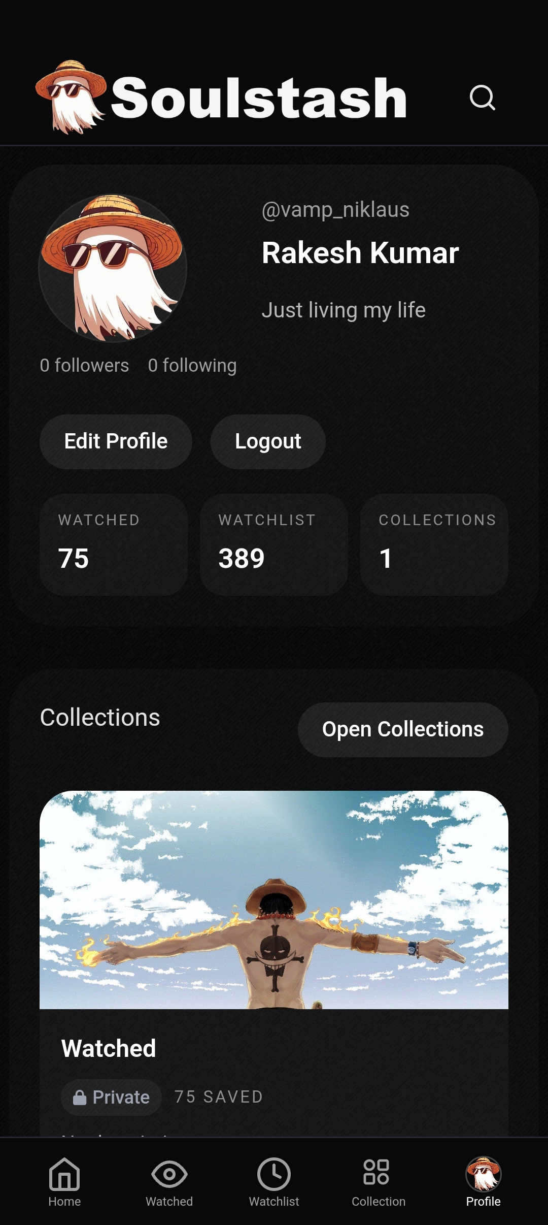 Soulstash screenshot